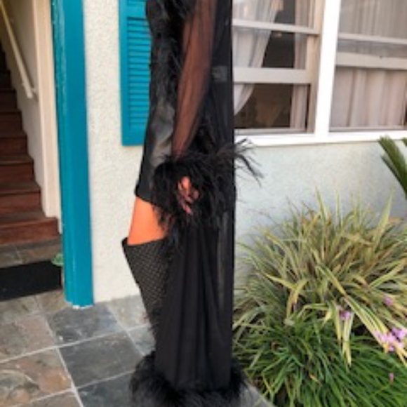 Sheer Feather Robe - Picture 3 of 3